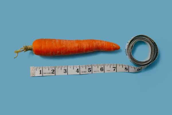 Quelle est la taille d’une bite au repos ?