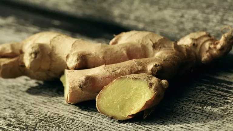 les remedes contre l'éjaculation précoce