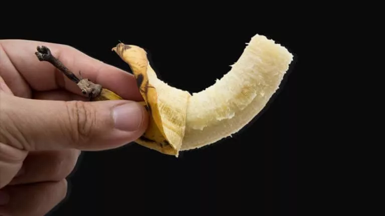 c'est quoi un micropenis