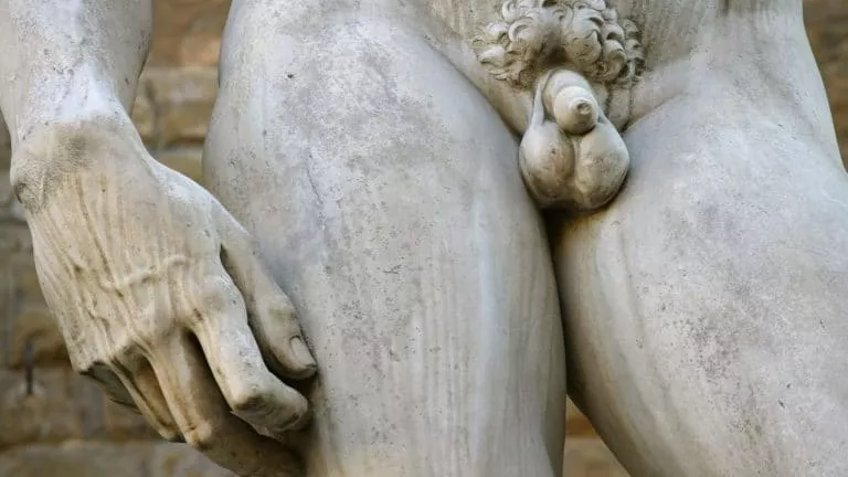 taille du pénis moyenne en france