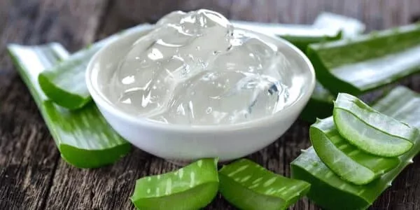qu'est ce que l'aloe vera