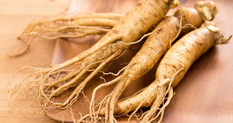 ginseng