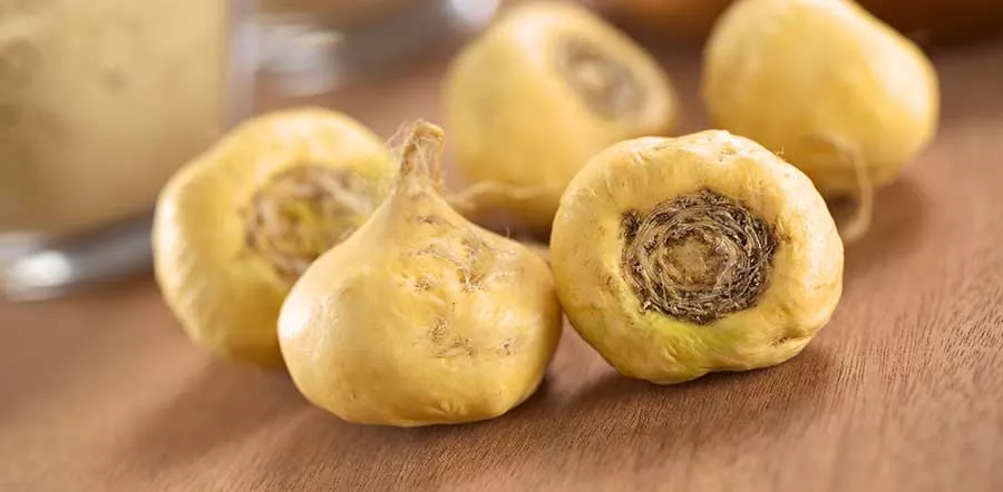 maca