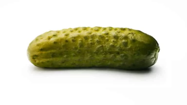 Bouton sur le pénis