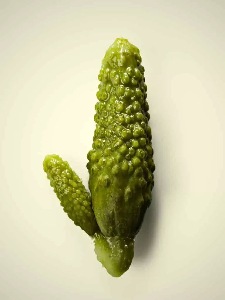 cornichons penis