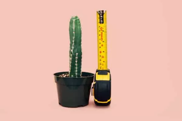 Comment grandir en taille ? Etirement, pilules, crème… Qu’est ce qui fonctionne vraiment ?