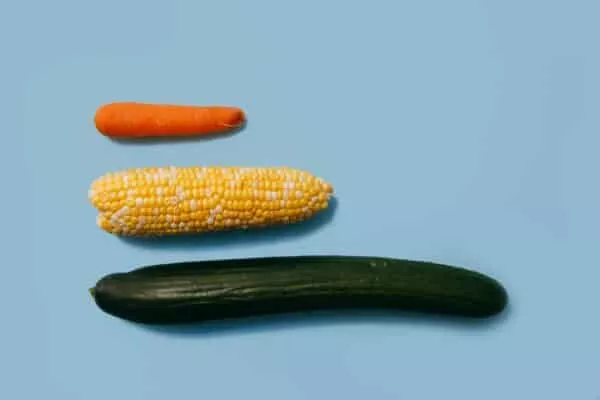 Comment avoir un énorme penis ? Tout ce qu’il faut savoir