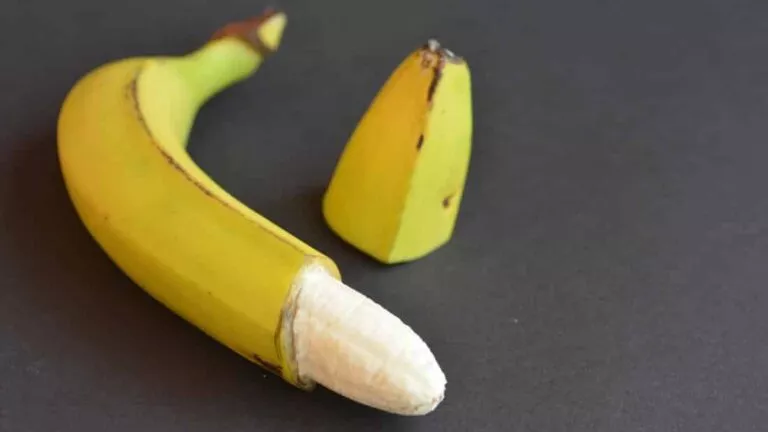 Pénis circoncit ou non, quelles sont les conséquences