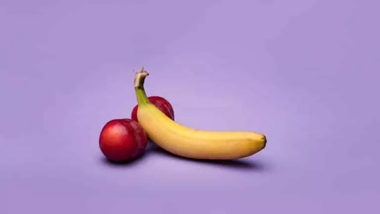 penis de sang ou pénis de chair