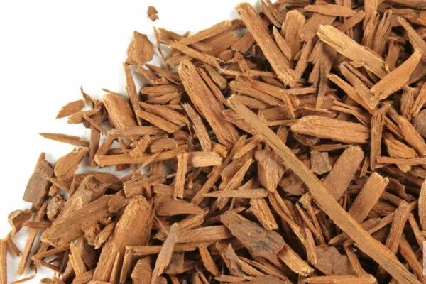 Yohimbine (Yohimbe) : Que vaut ce complément alimentaire africain ?